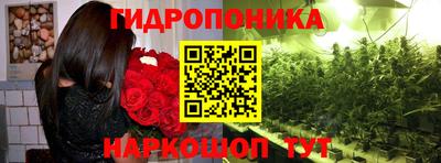 твердый Пушкино